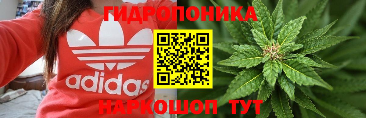 Бошки марихуана OG Kush  Вход с VPN  Марихуана VHQ  Конопля VHQ  Конопля THC 21%  Серпухов 